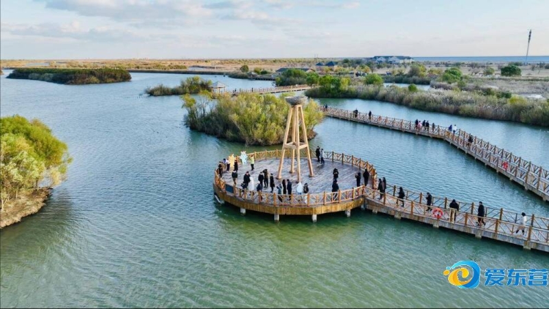 他们通过对 他们通过对